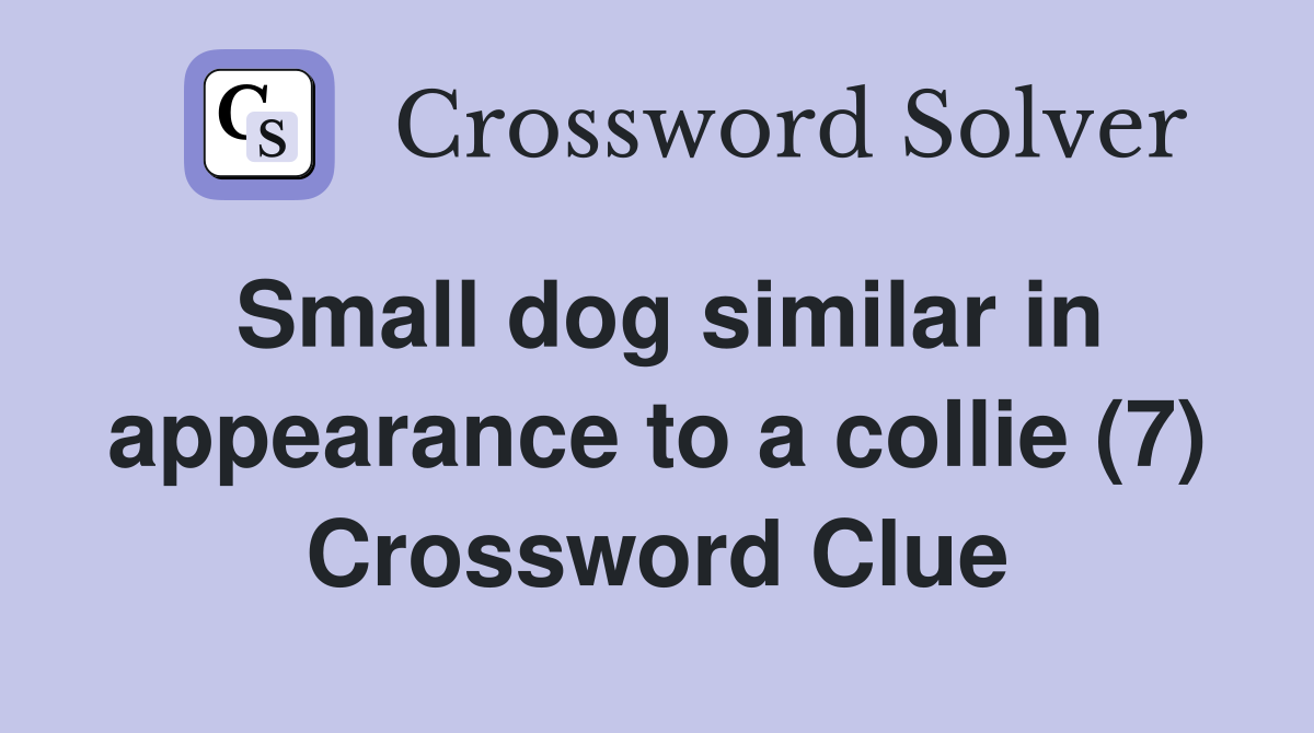 Small dog similar in appearance to a collie (7) Crossword Clue