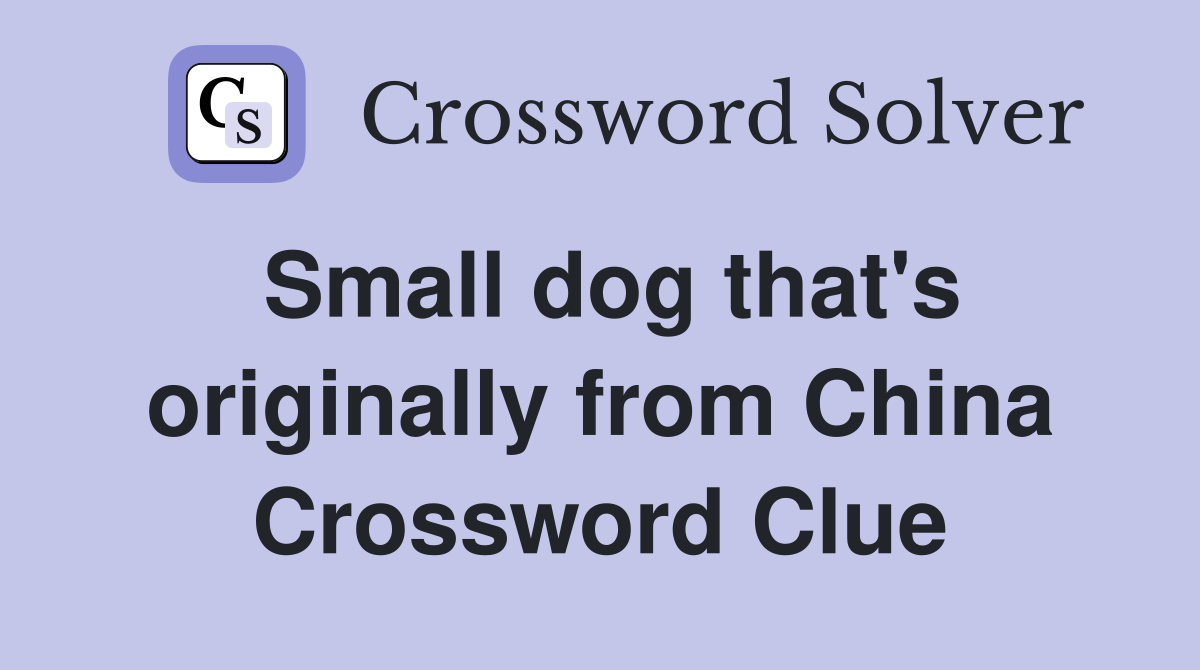 Small dog that's originally from China Crossword Clue