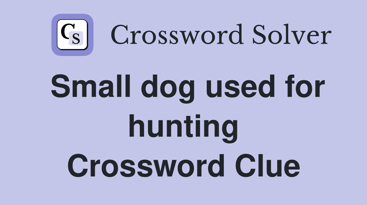 Small dog used for hunting Crossword Clue