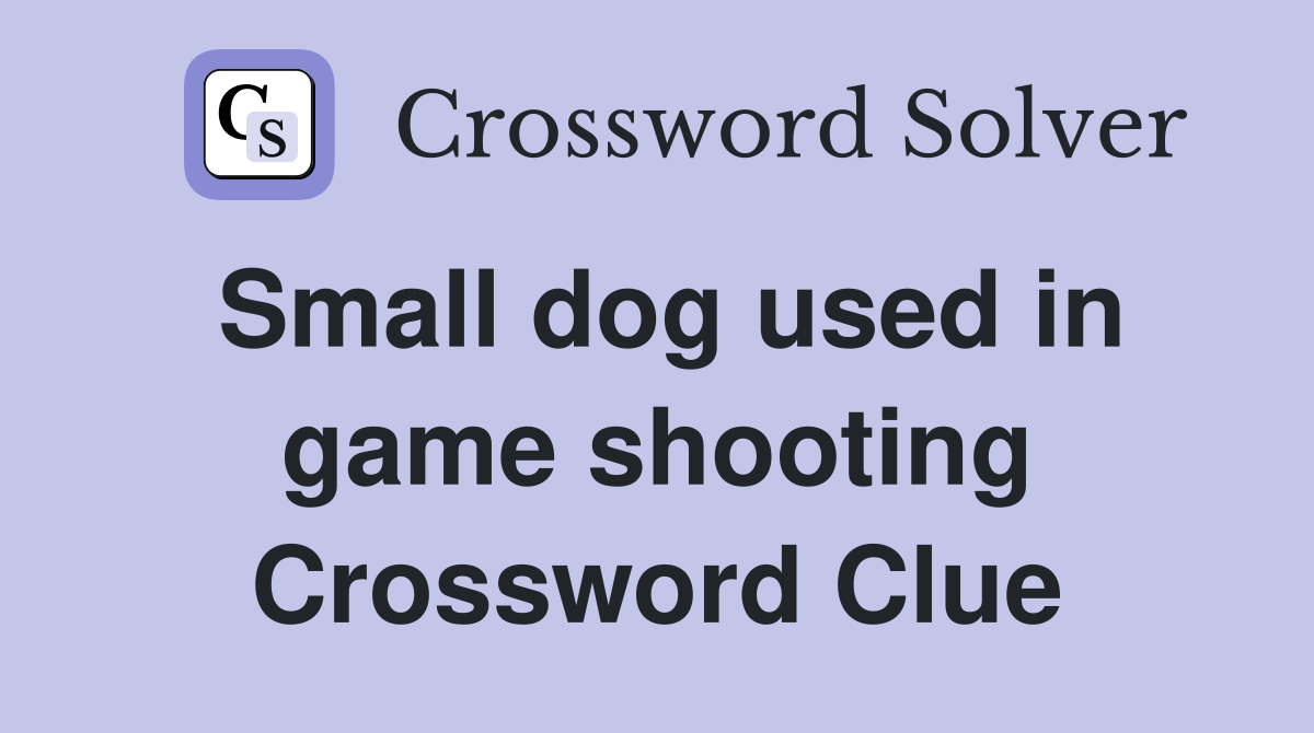 Small dog used in game shooting Crossword Clue