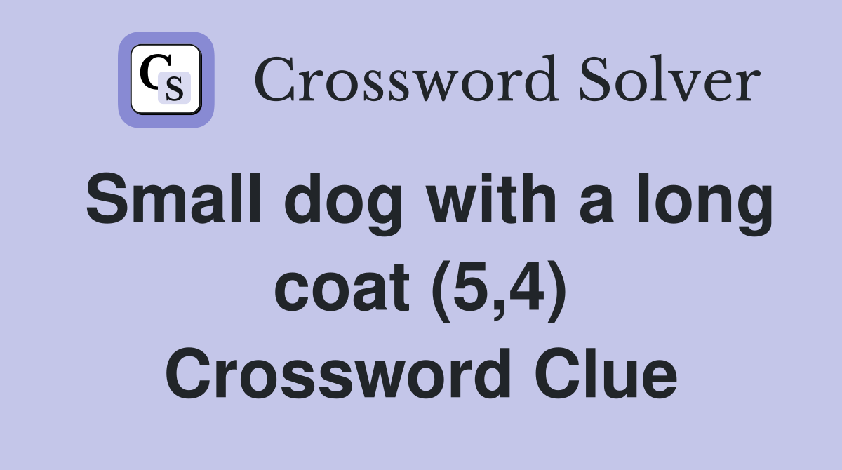 Small dog with a long coat (5,4) Crossword Clue