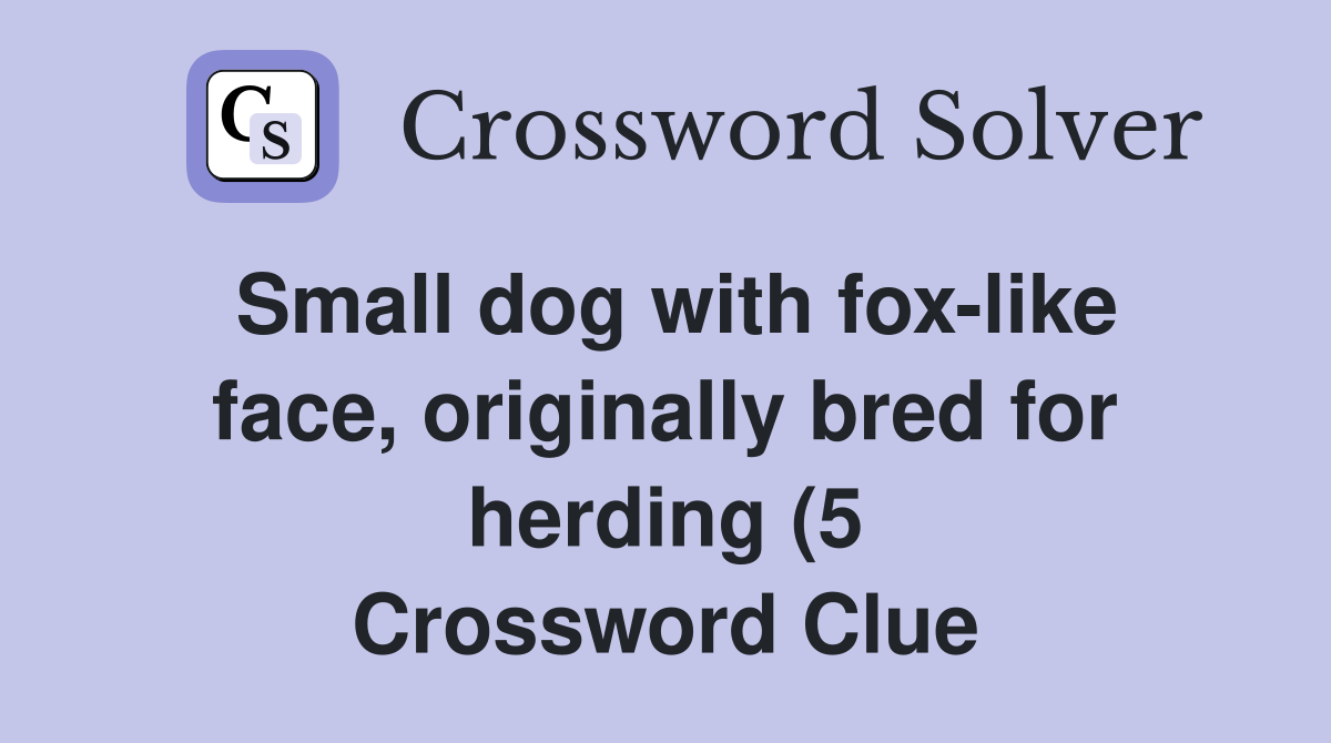 Small dog with fox like face originally bred for herding (5 Small dog with fox like face originally bred for herding (5