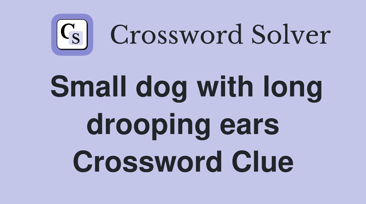 Small dog with long drooping ears Crossword Clue