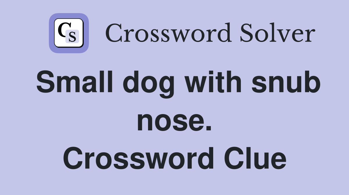 Small dog with snub nose. Crossword Clue