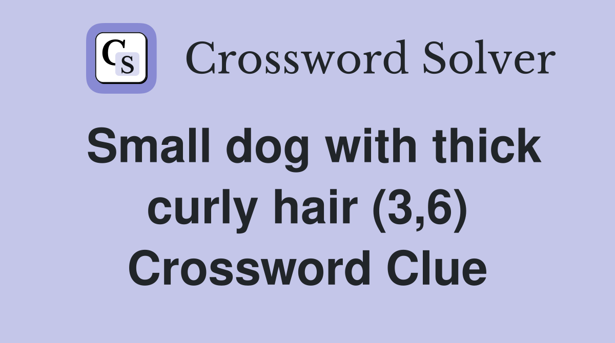 Small dog with thick curly hair (3,6) Crossword Clue