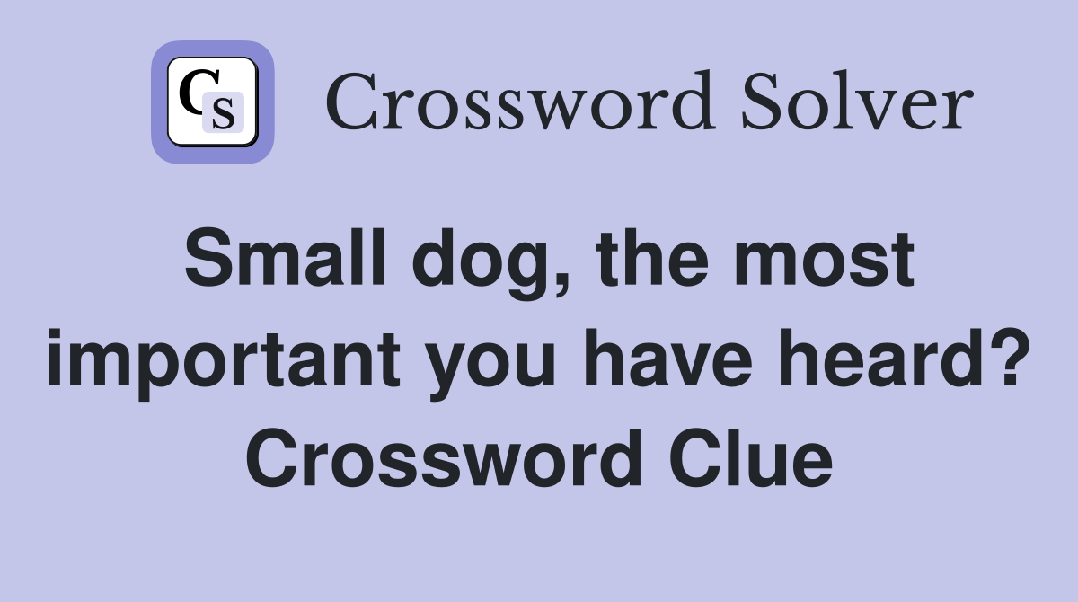 Small dog, the most important you have heard? Crossword Clue