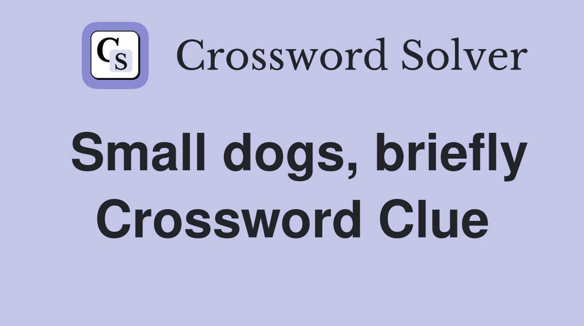 Small dogs, briefly Crossword Clue