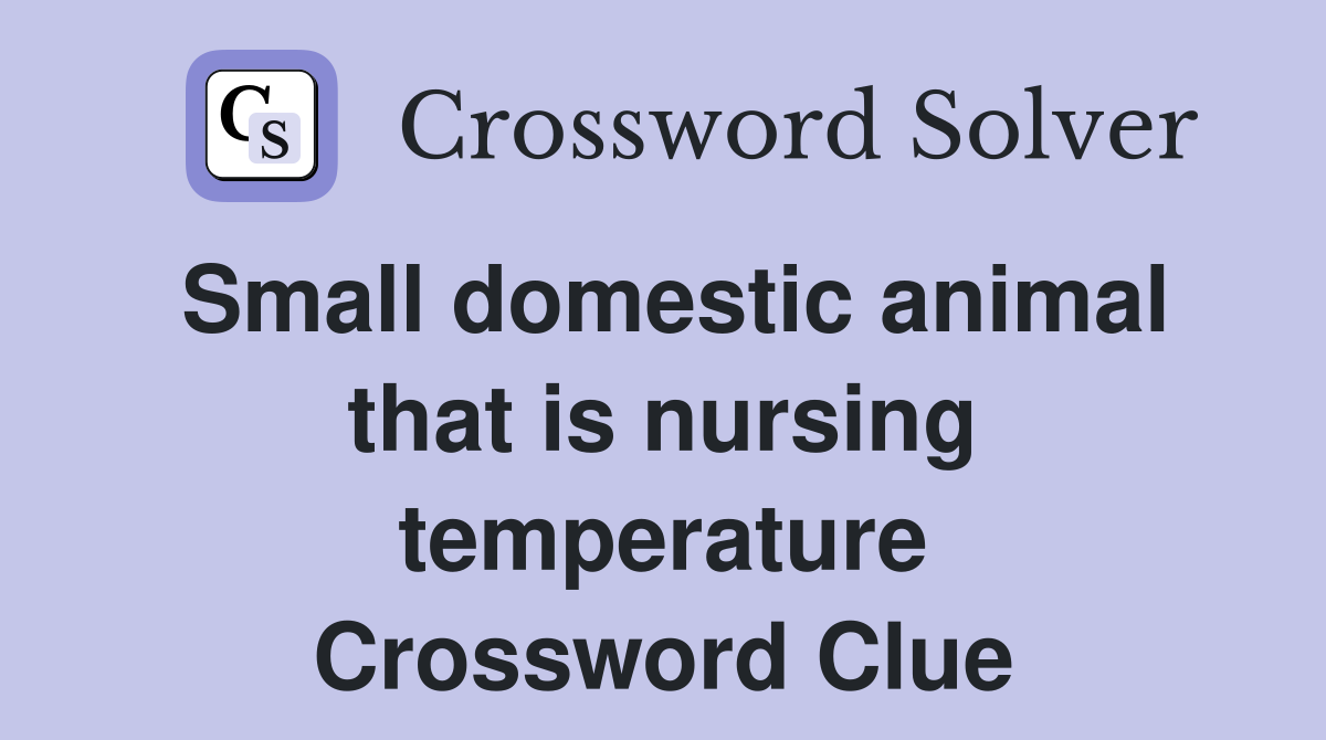 Small domestic animal that is nursing temperature Crossword Clue