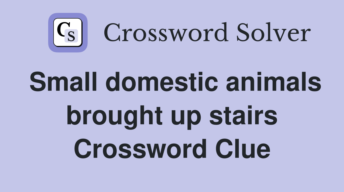 Small domestic animals brought up stairs Crossword Clue