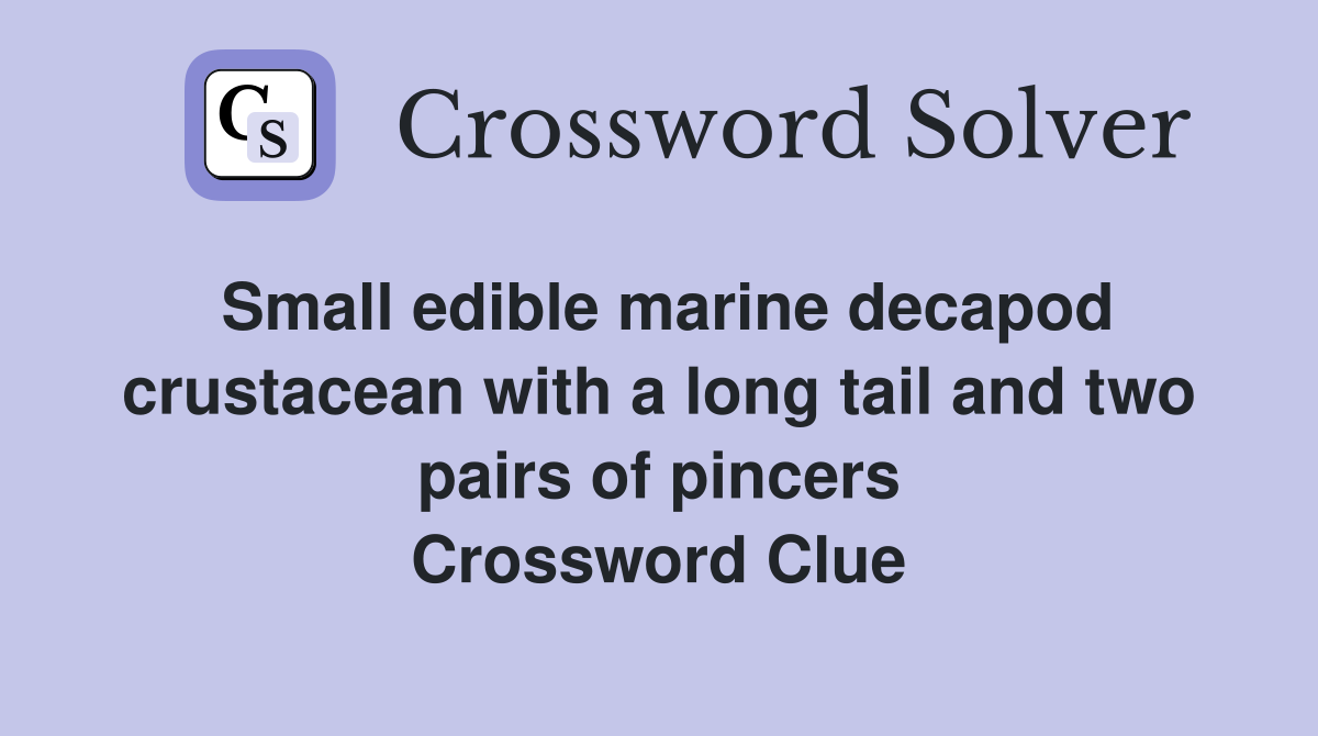 Small edible marine decapod crustacean with a long tail and two pairs of pincers Crossword Clue