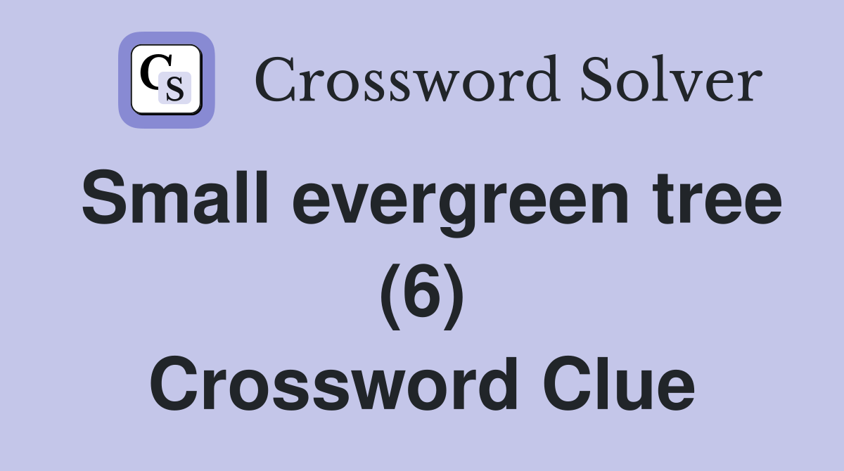 Small evergreen tree (6) Crossword Clue