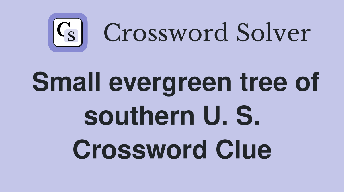 Small evergreen tree of southern U. S. Crossword Clue