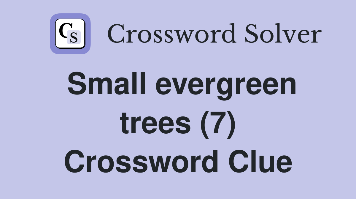 Small evergreen trees (7) Crossword Clue