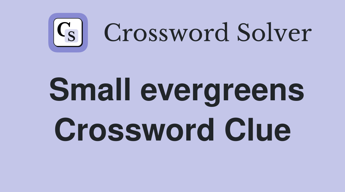 Small evergreens Crossword Clue