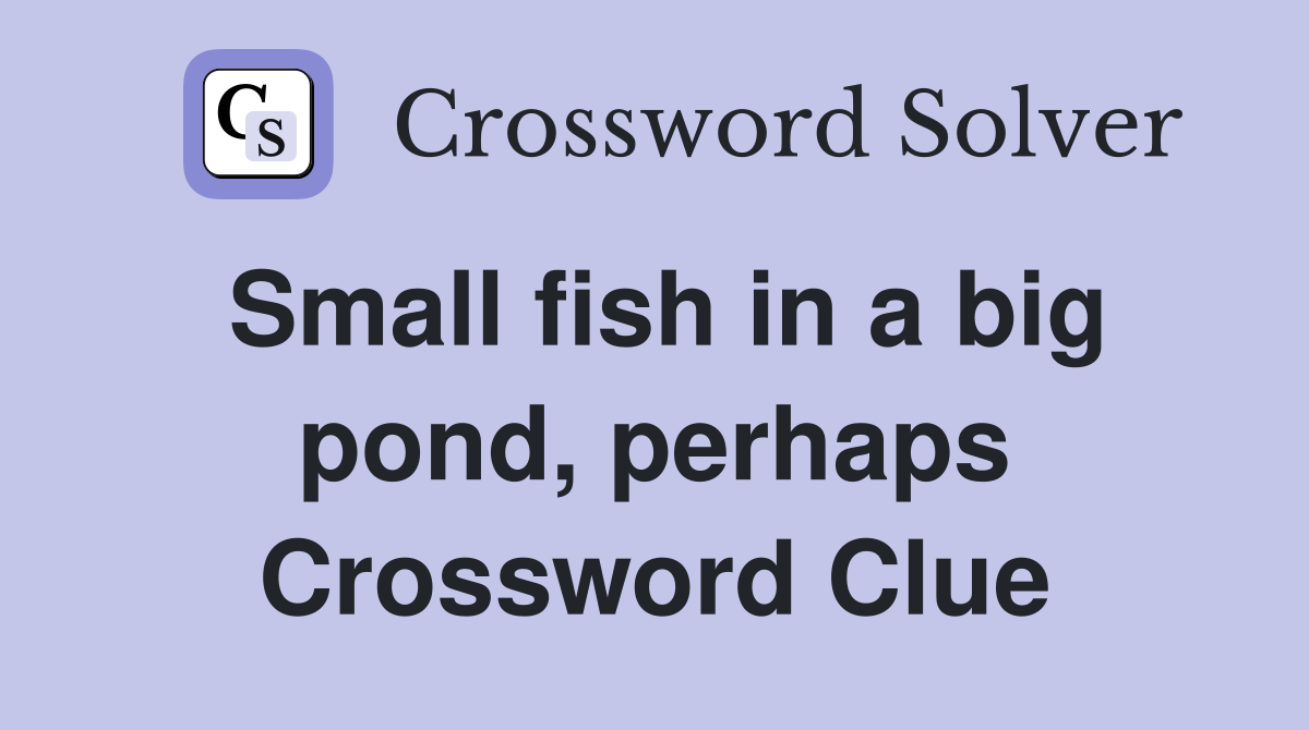 Small fish in a big pond, perhaps Crossword Clue
