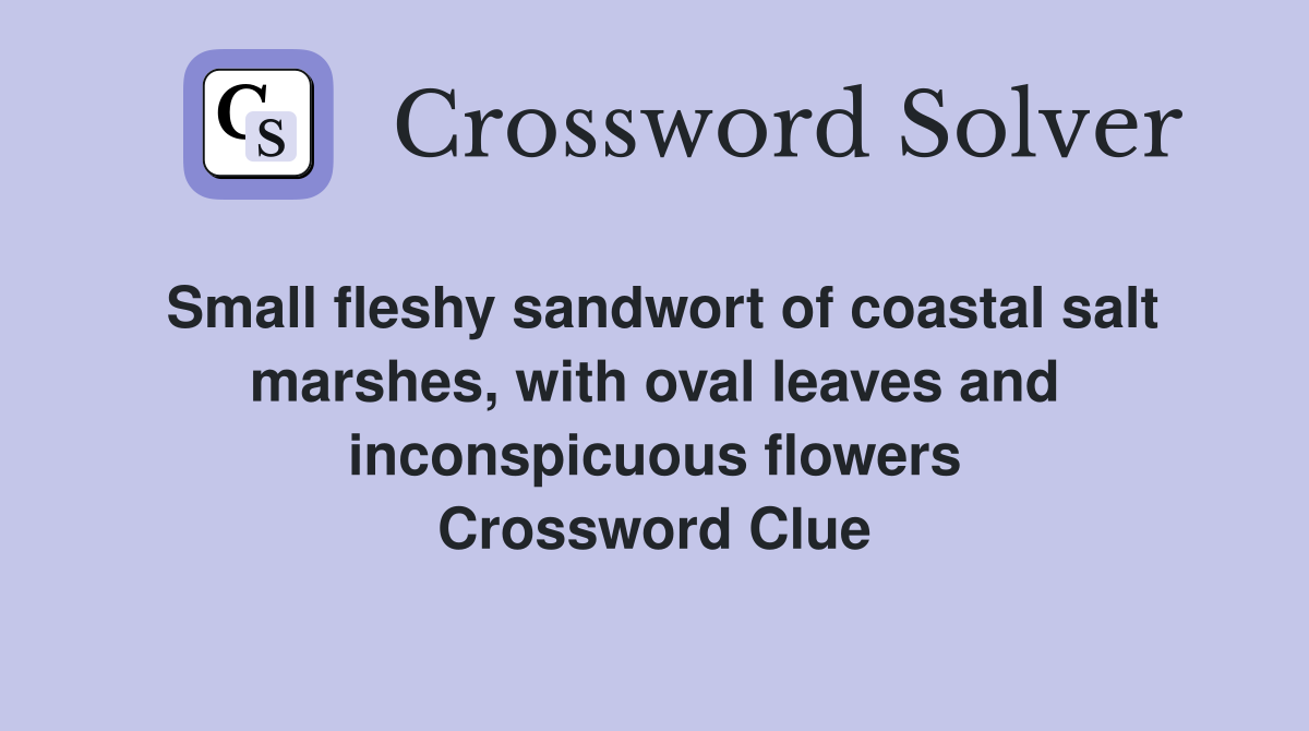 Small fleshy sandwort of coastal salt marshes, with oval leaves and inconspicuous flowers Crossword Clue