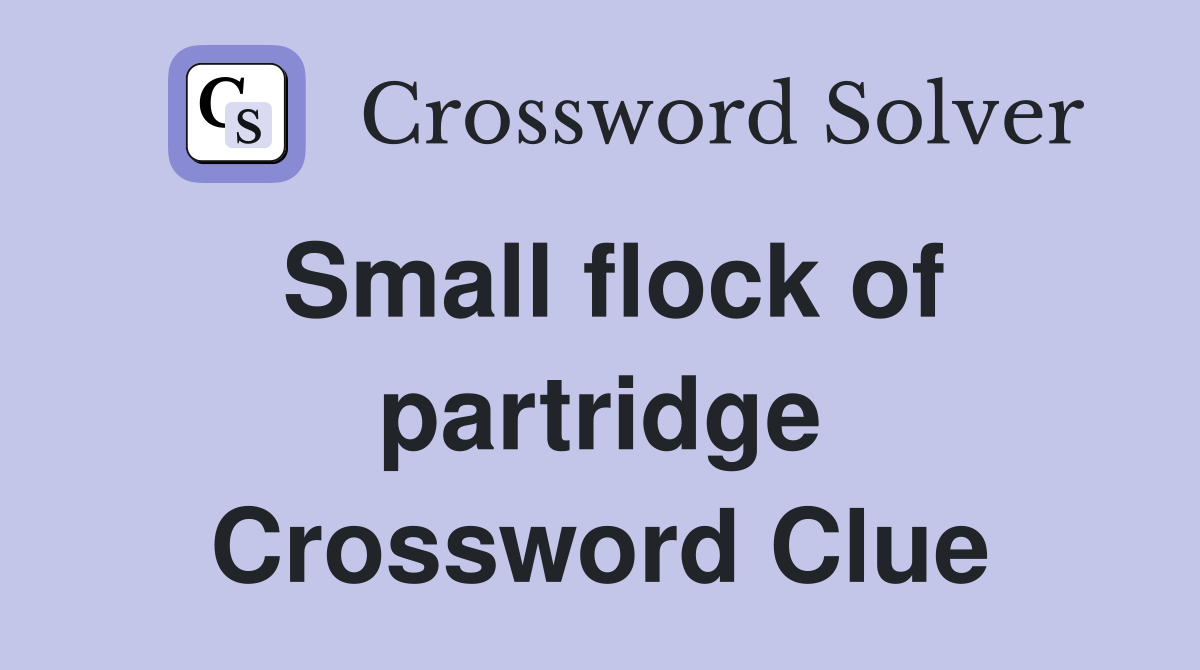 Small flock of partridge Crossword Clue