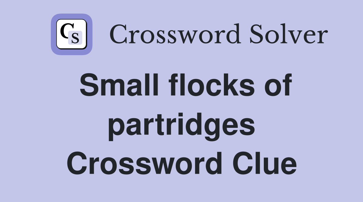 Small flocks of partridges Crossword Clue