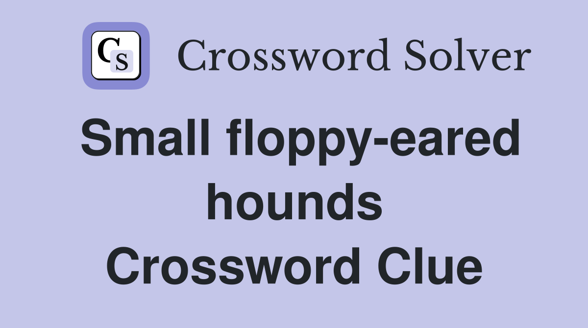 Small floppy-eared hounds Crossword Clue
