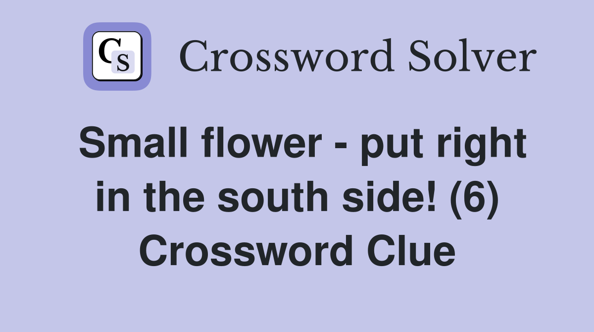 Small flower - put right in the south side! (6) Crossword Clue