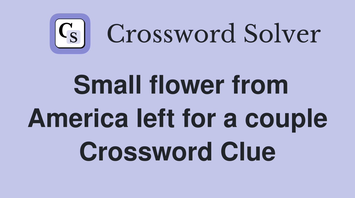 Small flower from America left for a couple Crossword Clue