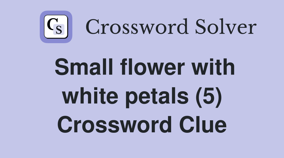 Small flower with white petals (5) Crossword Clue