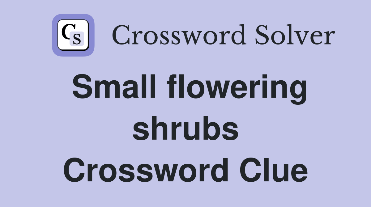 Small flowering shrubs Crossword Clue