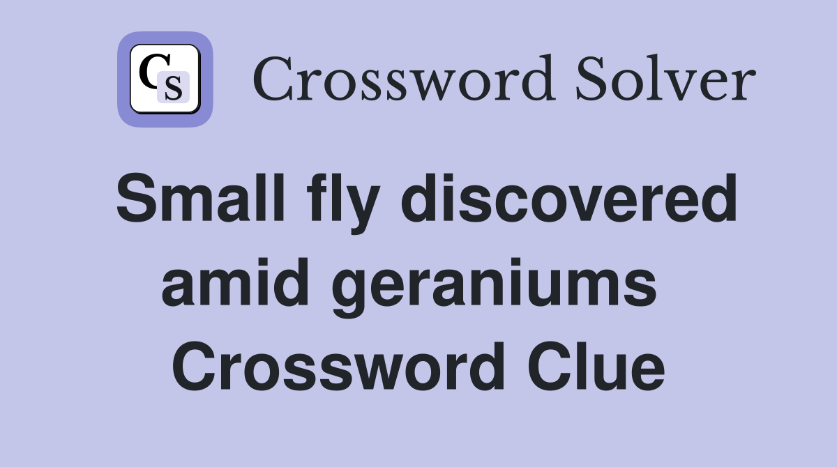 Small fly discovered amid geraniums  Crossword Clue