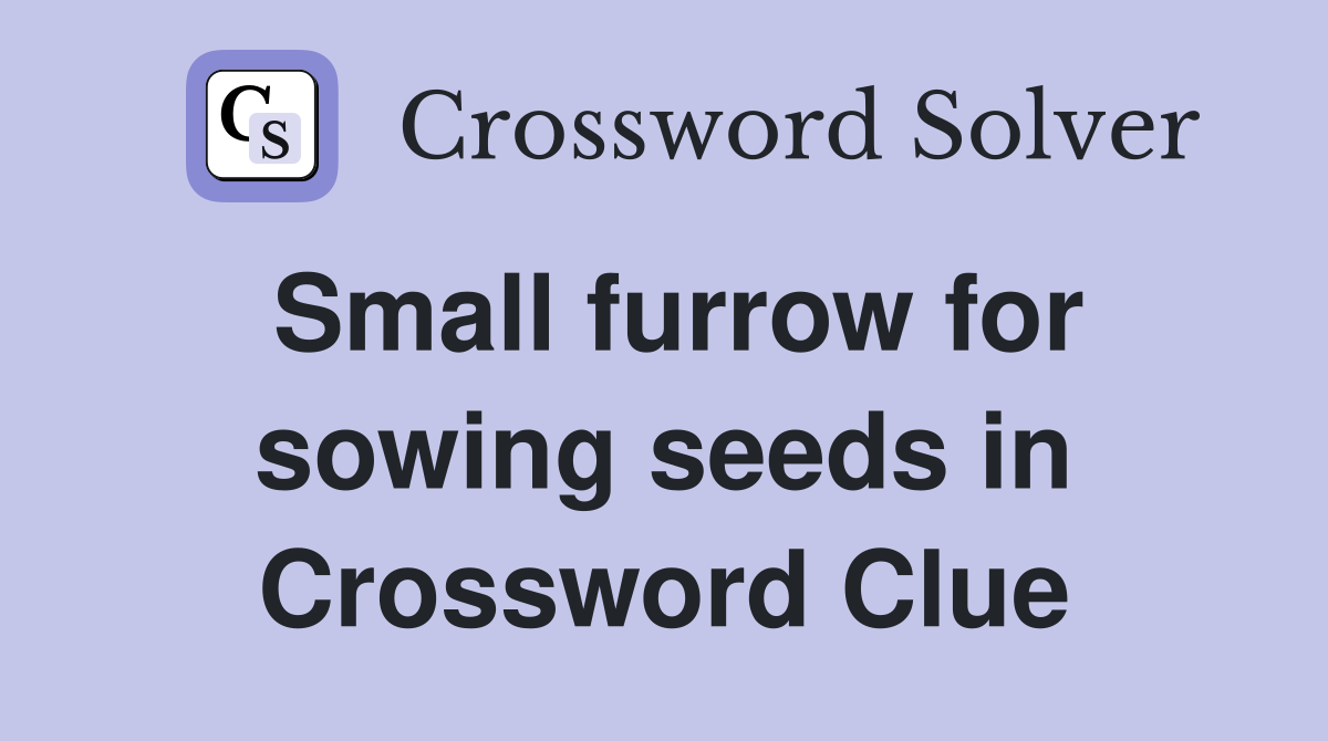 Small furrow for sowing seeds in Crossword Clue