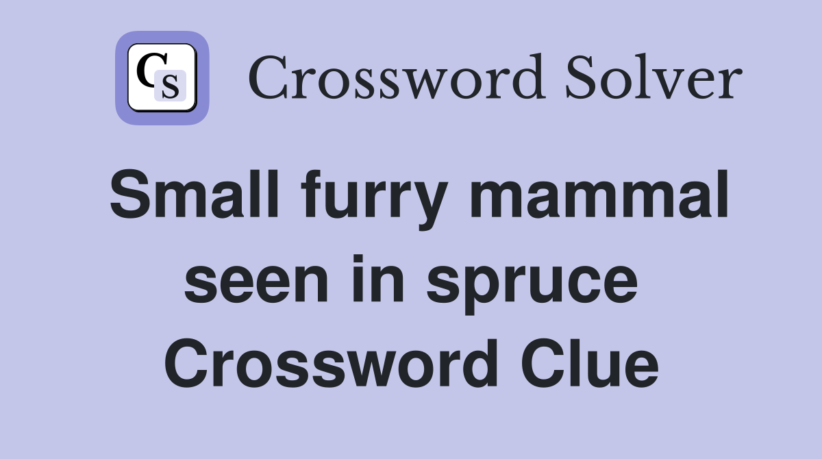 Small furry mammal seen in spruce Crossword Clue