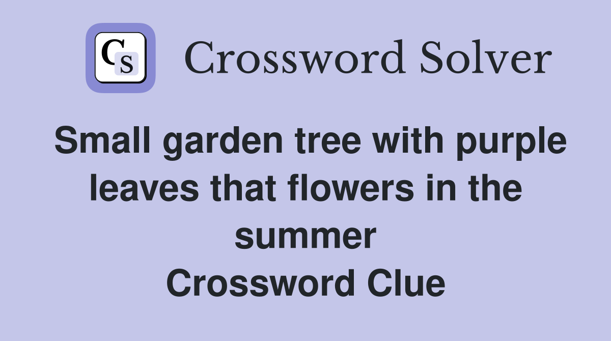 Small garden tree with purple leaves that flowers in the summer Crossword Clue
