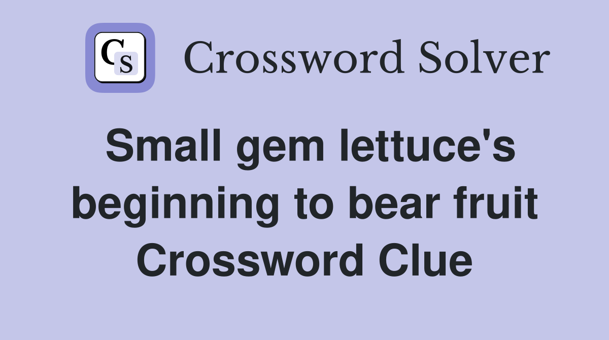 Small gem lettuce's beginning to bear fruit Crossword Clue