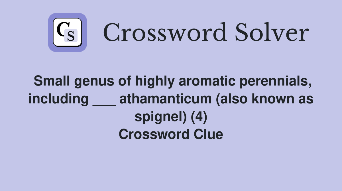 Small genus of highly aromatic perennials, including ___ athamanticum (also known as spignel) (4) Crossword Clue