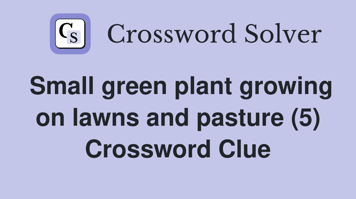 Small green plant growing on lawns and pasture (5) Crossword Clue
