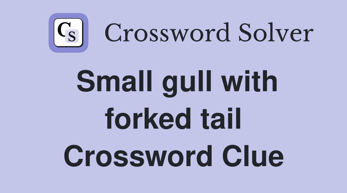 Small gull with forked tail Crossword Clue