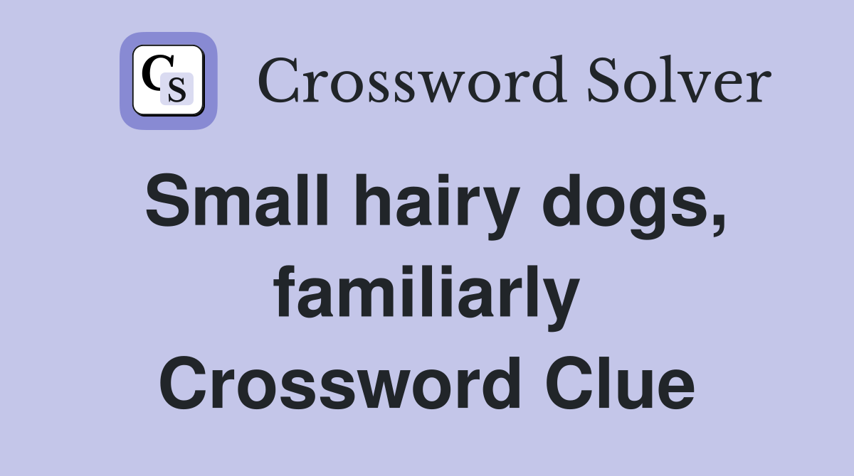 Small hairy dogs, familiarly Crossword Clue