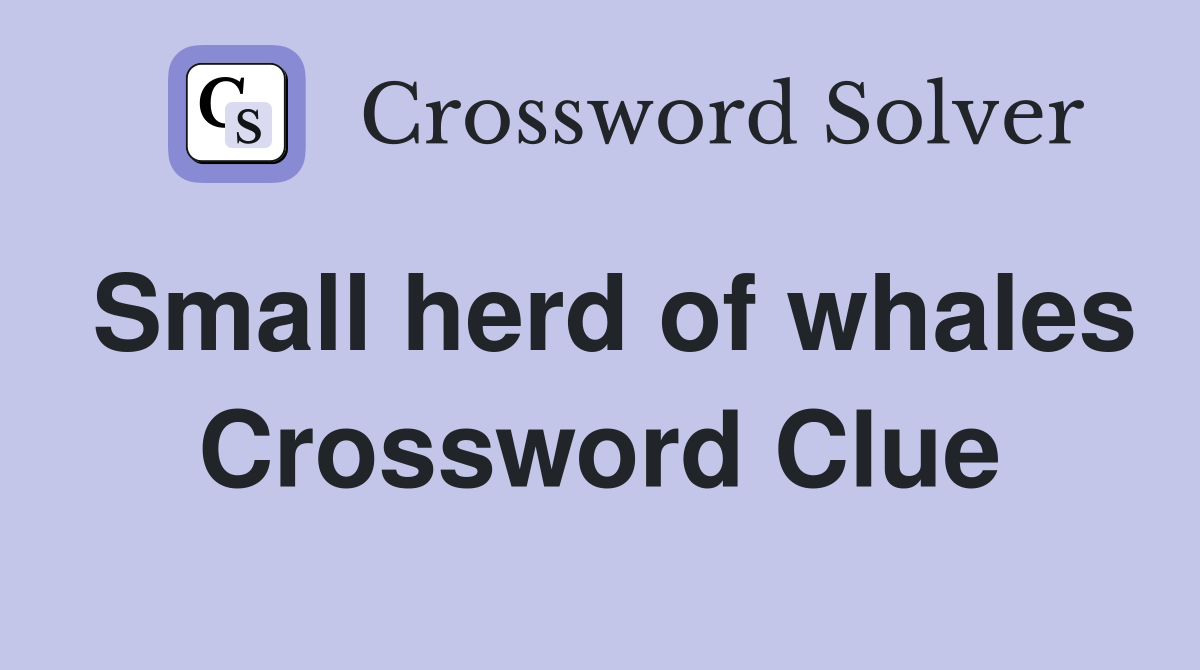 Small herd of whales Crossword Clue