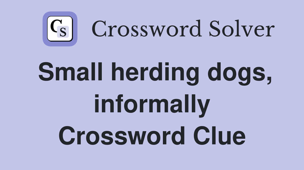 Small herding dogs, informally Crossword Clue