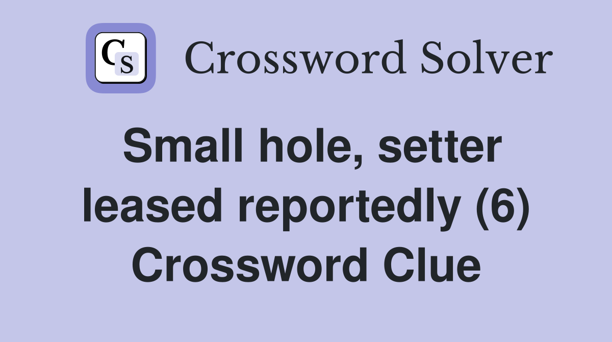 Small hole, setter leased reportedly (6) Crossword Clue