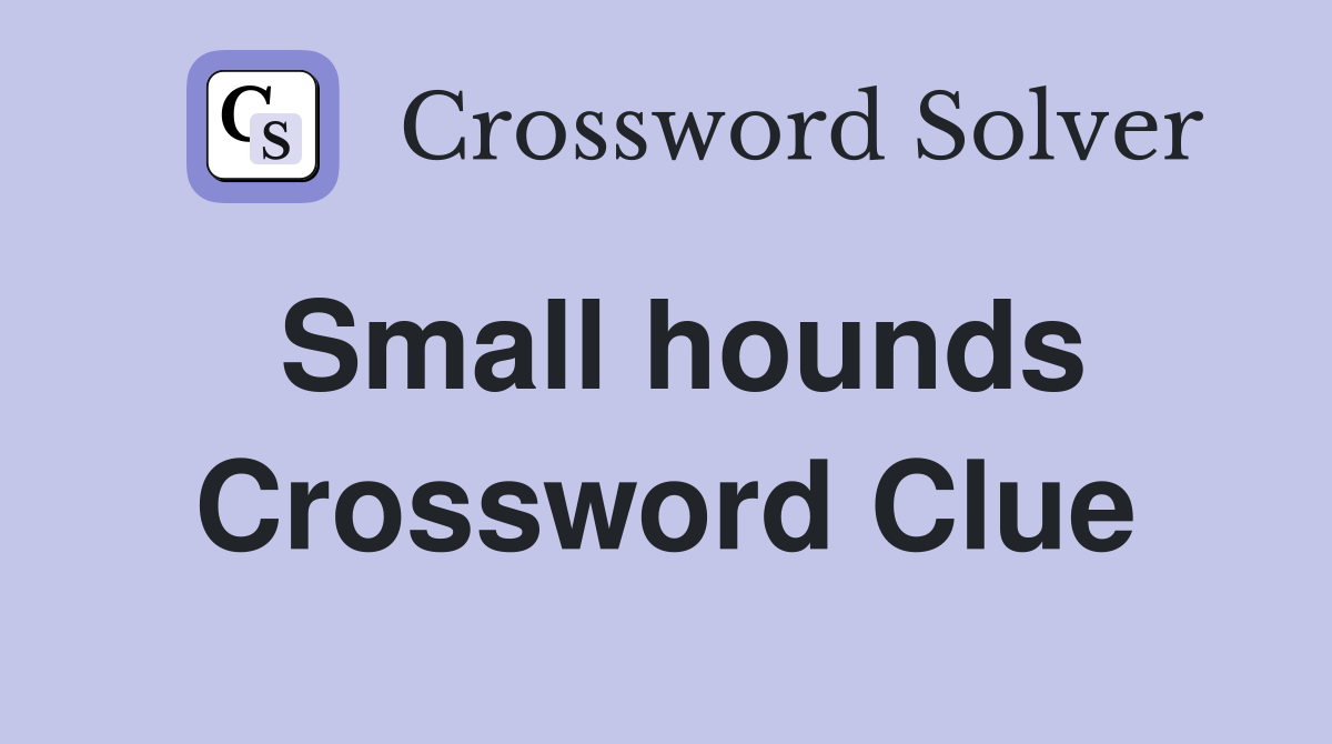Small hounds Crossword Clue