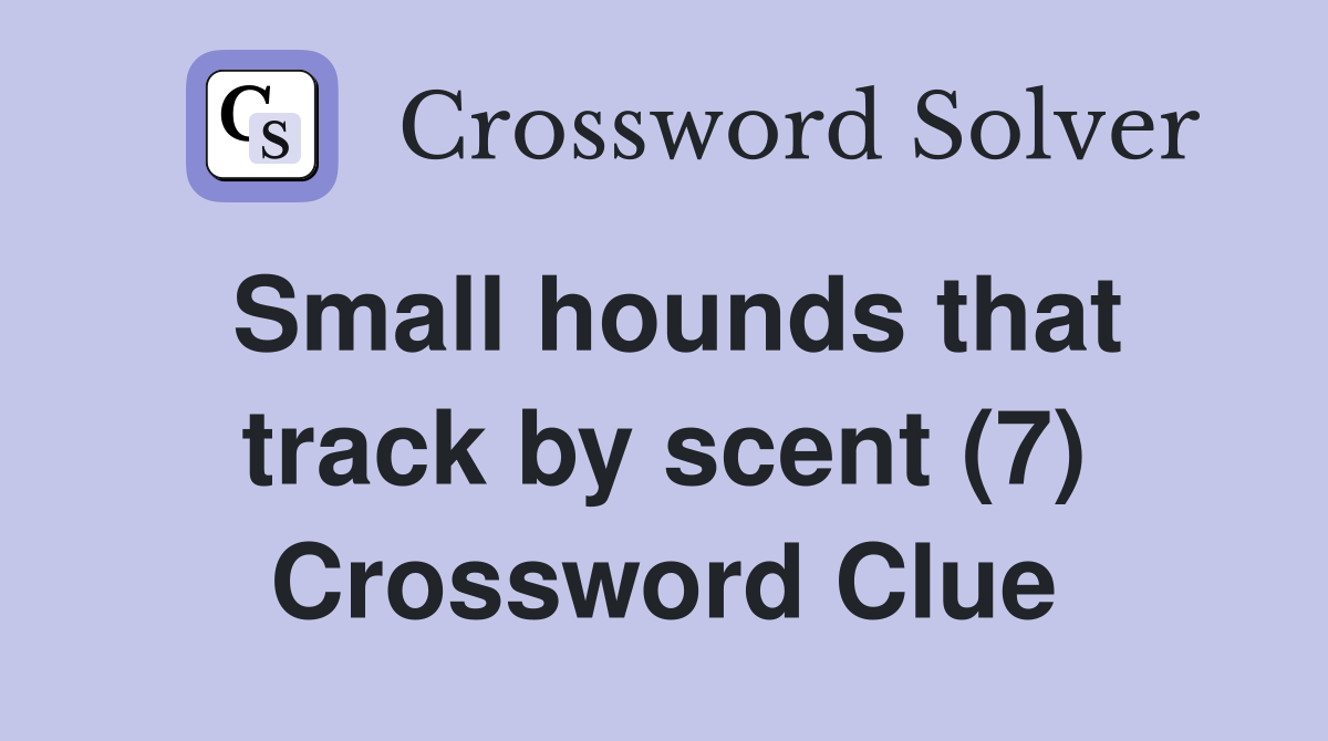 Small hounds that track by scent (7) Crossword Clue
