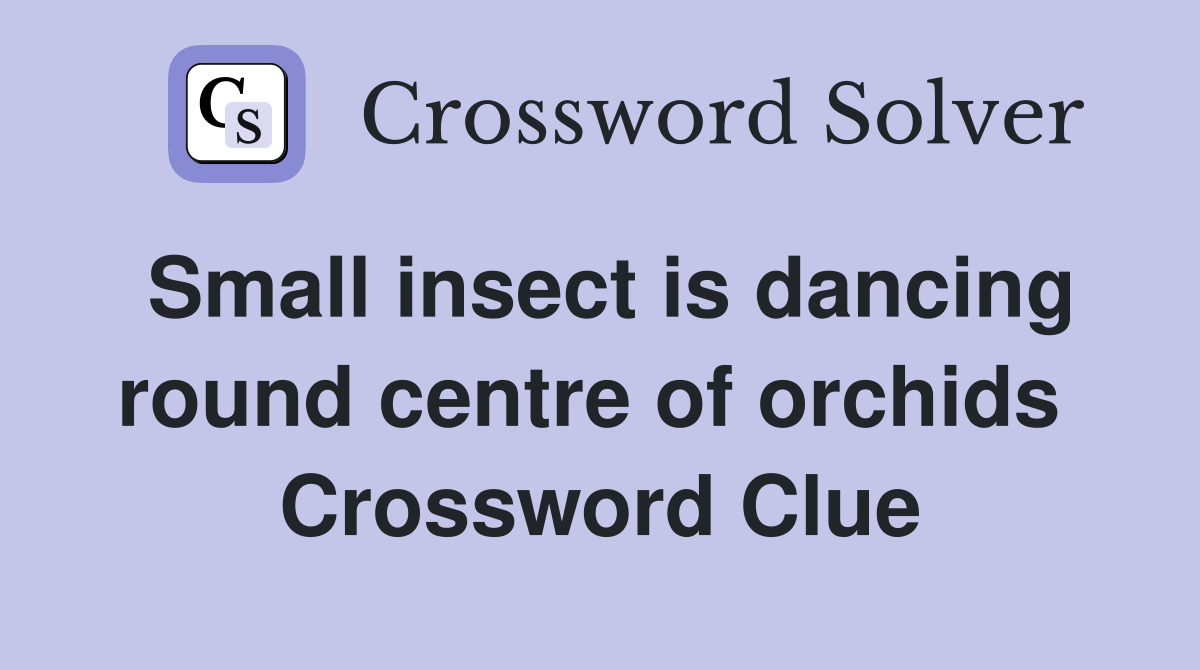 Small insect is dancing round centre of orchids  Crossword Clue