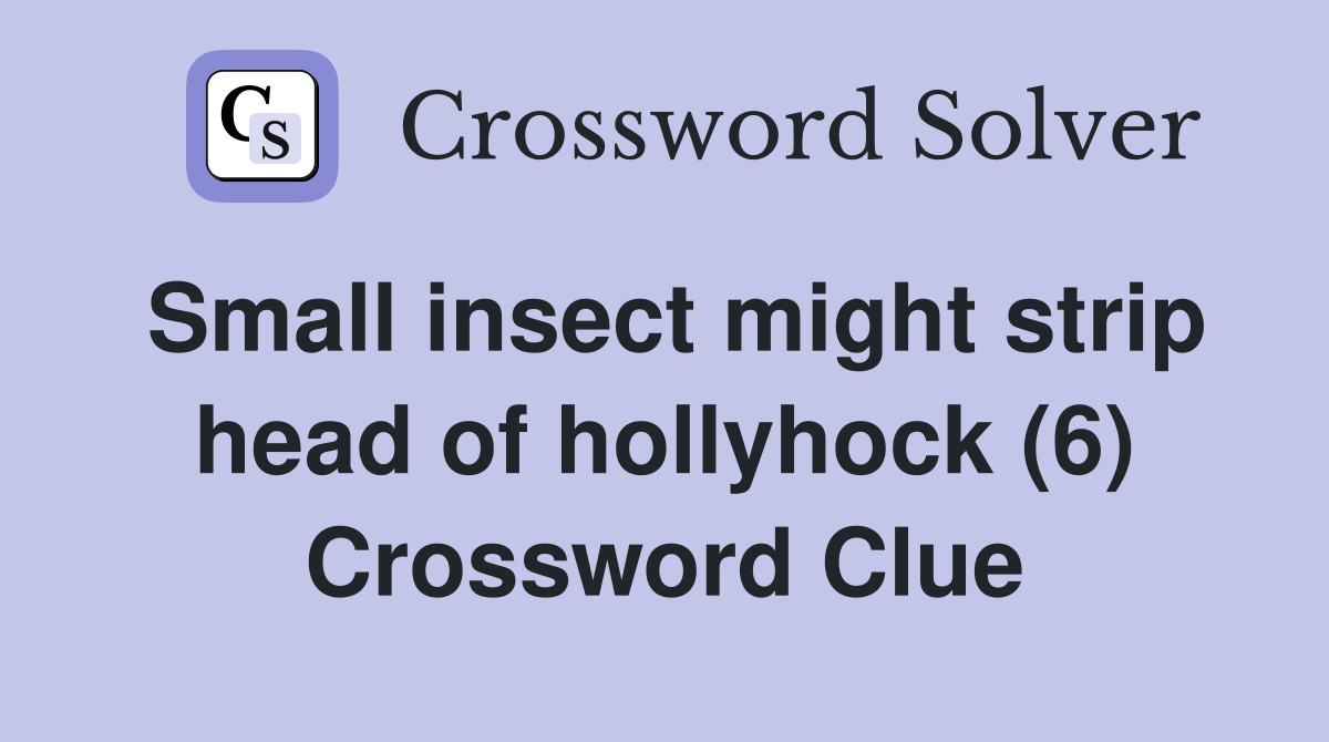 Small insect might strip head of hollyhock (6) Crossword Clue