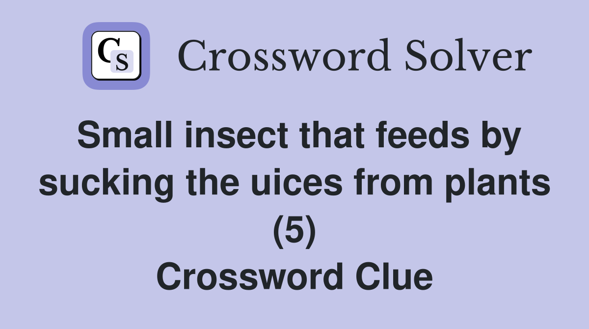 Small insect that feeds by sucking the uices from plants (5) Crossword Clue