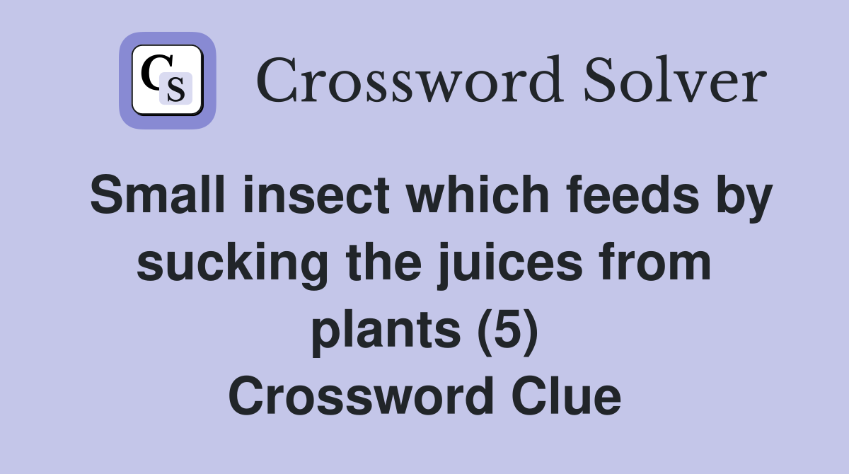 Small insect which feeds by sucking the juices from plants (5) Crossword Clue