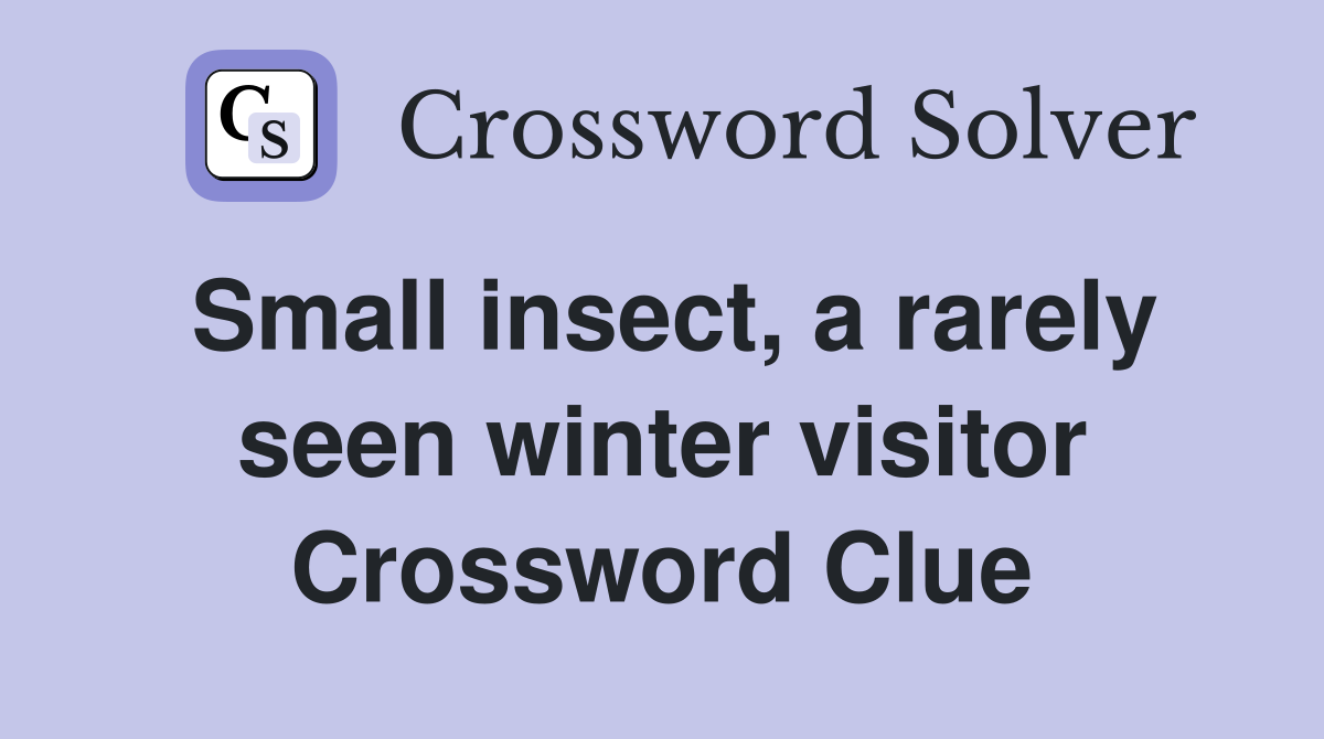 Small insect, a rarely seen winter visitor Crossword Clue
