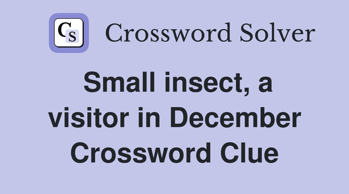 Small insect, a visitor in December Crossword Clue
