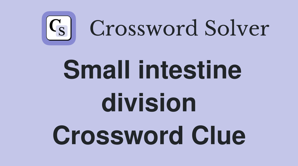 Small intestine division Crossword Clue