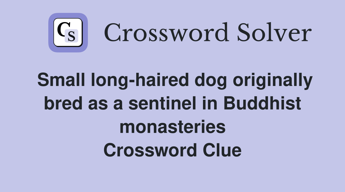 Small long-haired dog originally bred as a sentinel in Buddhist monasteries Crossword Clue