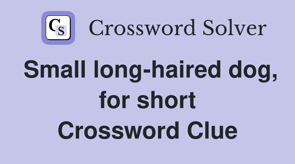 Small long-haired dog, for short Crossword Clue